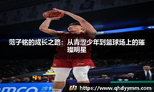 好博(中国)体育