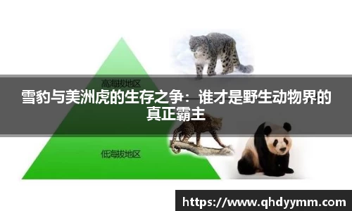 好博(中国)体育智能科技股份有限公司网站